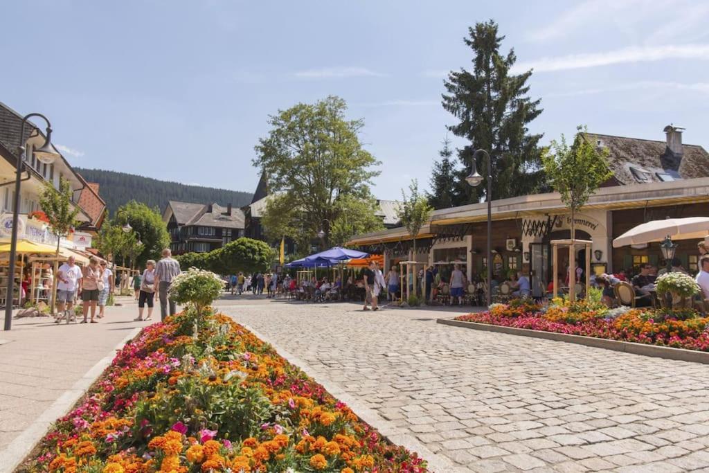 Sieben Tannen Titisee + Hochschwarzwald Cardアパートメント エクステリア 写真