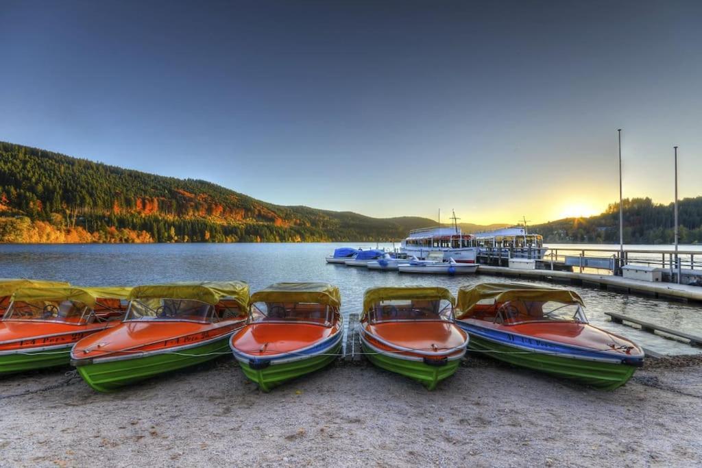 Sieben Tannen Titisee + Hochschwarzwald Cardアパートメント エクステリア 写真