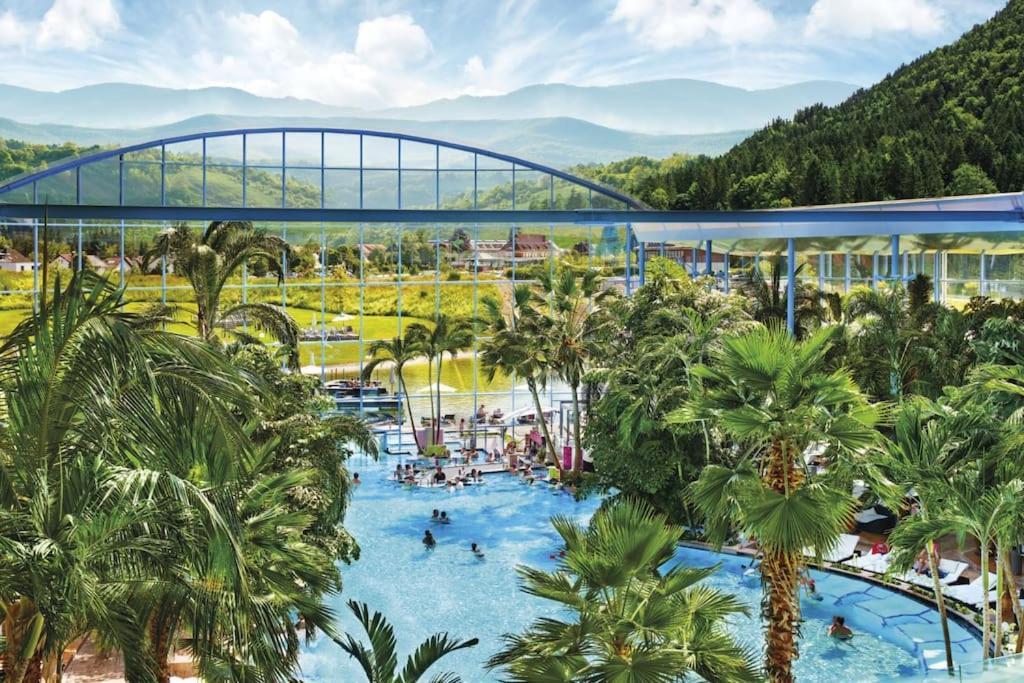 Sieben Tannen Titisee + Hochschwarzwald Cardアパートメント エクステリア 写真