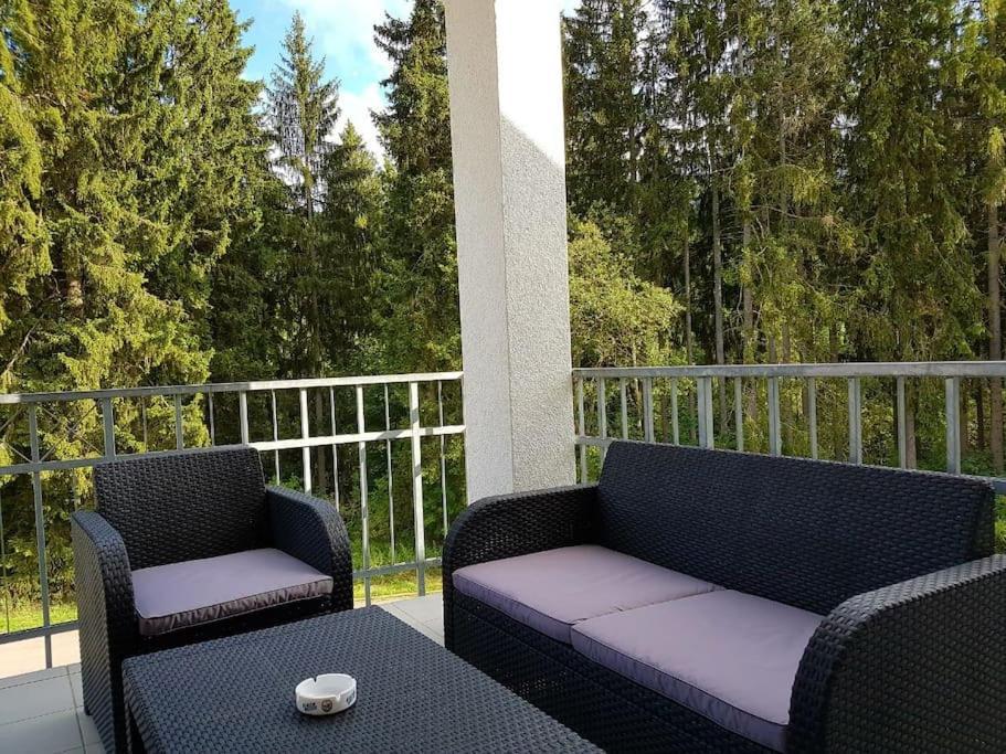 Sieben Tannen Titisee + Hochschwarzwald Cardアパートメント エクステリア 写真