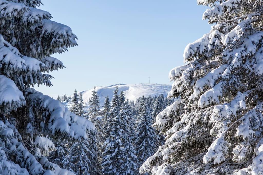 Sieben Tannen Titisee + Hochschwarzwald Cardアパートメント エクステリア 写真