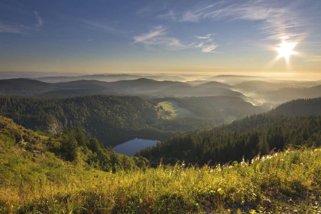 Sieben Tannen Titisee + Hochschwarzwald Cardアパートメント エクステリア 写真