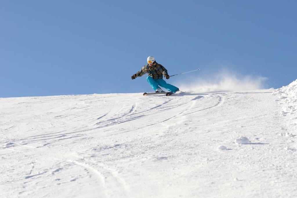 Sieben Tannen Titisee + Hochschwarzwald Cardアパートメント エクステリア 写真